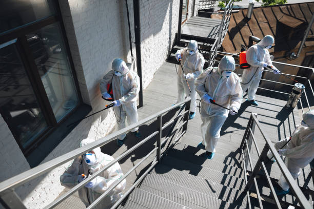 Fairless Hills, PA Mold Removal Company