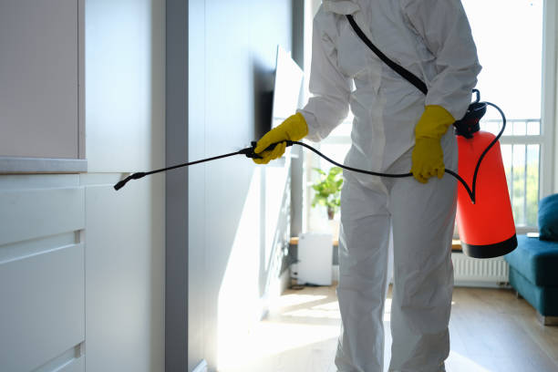 Best Air Quality Testing for Mold Spores  in Fairless Hills, PA