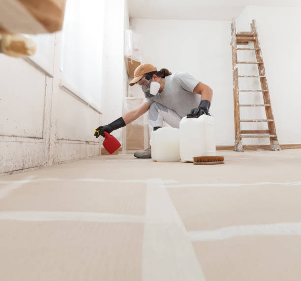 Biohazard Mold Removal in Fairless Hills, PA