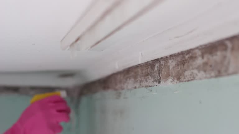 Dehumidification Services in Fairless Hills, PA